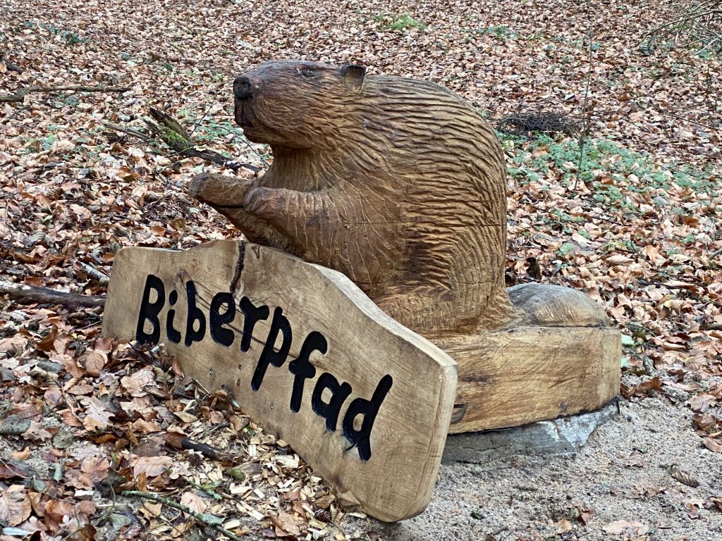 Natur pur am Biberpfad